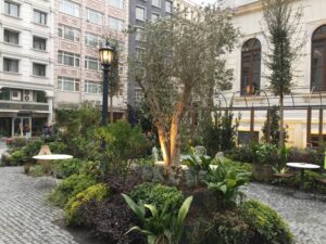 Proje Görseli