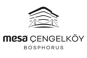 mesa-logo