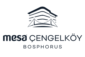 mesa-logo